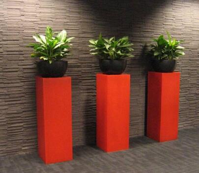 室内植物养护应该注意什么